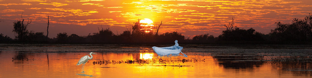 Herb: Echinacea | Essential Oil: Eucalyptus