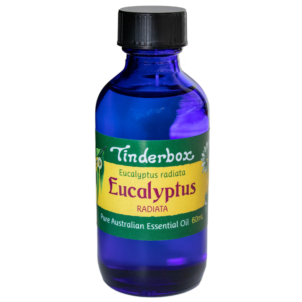 Eucalyptus Radiata Australian Essential Oil