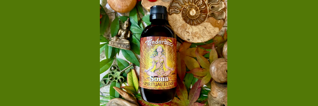 Soma - Spiritual Elixir: The Sacred Gift of Plant Wisdom