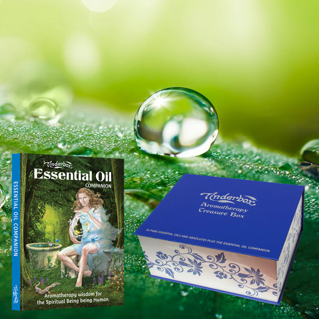 Aromatherapy Treasure Box | Box & Book Only