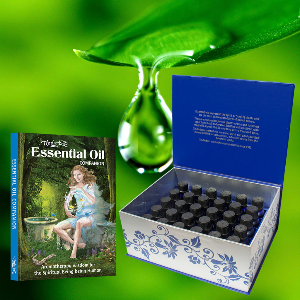 Aromatherapy Treasure Box