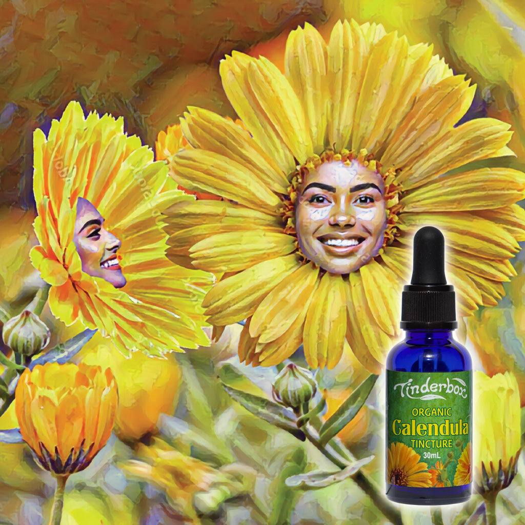 Calendula Tincture 30mL