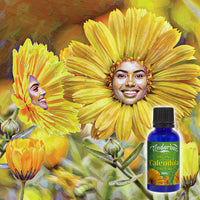 Calendula Tincture 30mL