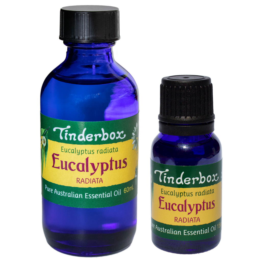 Eucalyptus Radiata Australian Essential Oil