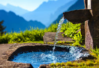 Digest Well Gift Box