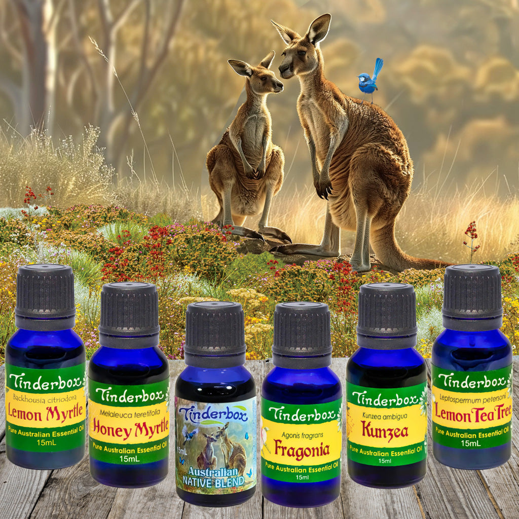 Numinous Natives Gift Pack