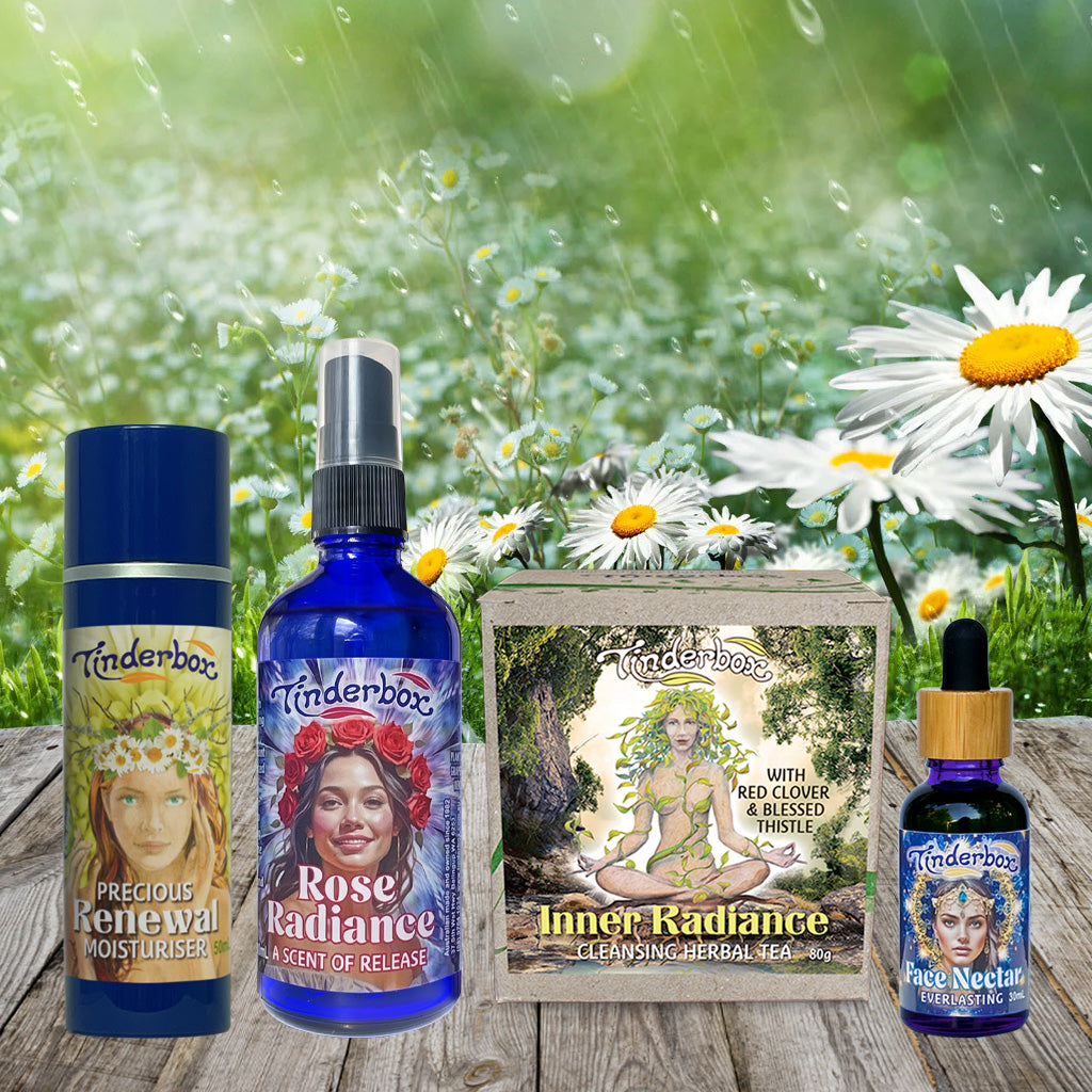 Renewal Gift Box