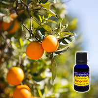 Tangerine Essential Oil 15mL