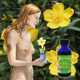 St Johns Wort